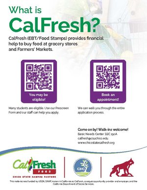 What is CalFresh flyer